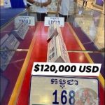 柬埔寨惊现售价12万美元的天价车牌！-百家乐交流-百家乐策略-百家乐技巧网