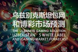 彩票倍投策略风险与回报分析：如何在博弈中找到平衡点-百家乐交流-百家乐策略-百家乐技巧网